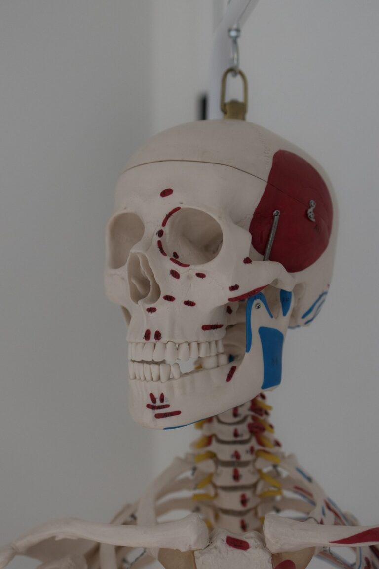 7e6ece97-6b9f-4377-a34a-1f8425322f7f